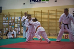 GRO_4575