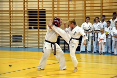wojnicz019